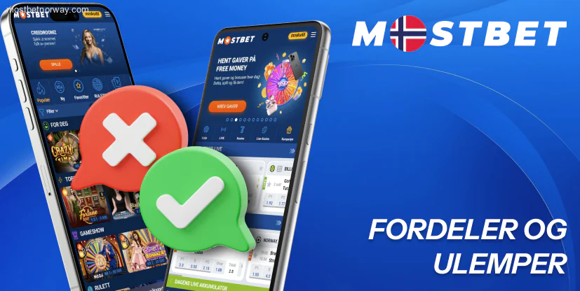 Fordeler og ulemper med Mostvet-applikasjonen